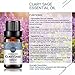 Clary Sage Essential Oil 10ml (0.33oz) - 100% Pure Premium Grade for Aroma Diffuser, Massage