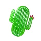 LetsFunny Pool Float, Inflatable Pool Floats for Adults, Swimming Pool Raft (Cactus)