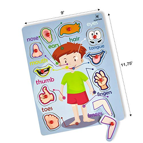 5 Wooden+Peg+Puzzle+Body+Educational