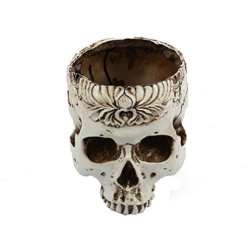 CHICHIC Realistic Resin Human Skull Model Home Statue, 6 Inch, Female