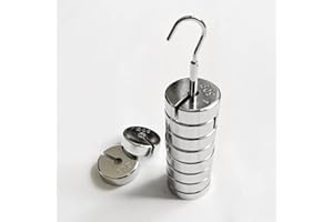 FELEOLIBE Slotted Weight Set,9 Weights with Hanger Totaling 500g Use in Labs