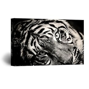 Black White Tiger Head - Canvas Art