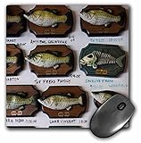 Danita Delimont - Walter Bibikow - Restaurants - USA, Arkansas, Little Rock, Flying Fish seafood restaurant. - MousePad (mp_192236_1)