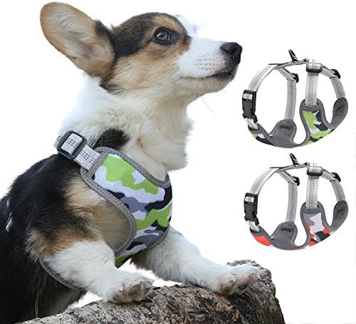 QaBaLee 2pcs Small Dog Harness and Cat Harness, No Pull Dog Harness Anti-Escape Soft Adjustable Vest-Style Safety Belt, Easy Walk The Cute Pet Harness, pet Harness Suitable for Small Dogs and Cat-M