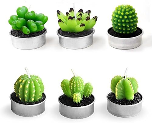Cactus Tealight Candles Handmade Delicate Succulent Tea Light Candle Holder for for Birthday Party Wedding Spa Home Decoration-6 Pcs 6 Styles in Pack
