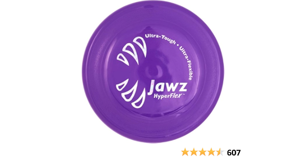 nylabone gumabone frisbee