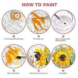Pretty Jolly DIY Horse Paint by Numbers for Adults
