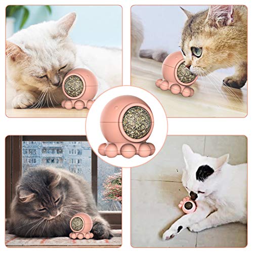 Idepet Catnip Toy for Cat, Catnip Ball Edible Kitty Toy Interactive with Octopus Shape Design Improve Appetite and Digest