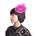 Fascinator Hats Tea Party Hats Mesh Net Head Accessories for Women