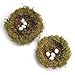MomokoPeng Set of 2 Spring Bird Nests with Eggs，Twig Bird Nest Decorative Ornament with Clip(Green Bird's Nest)