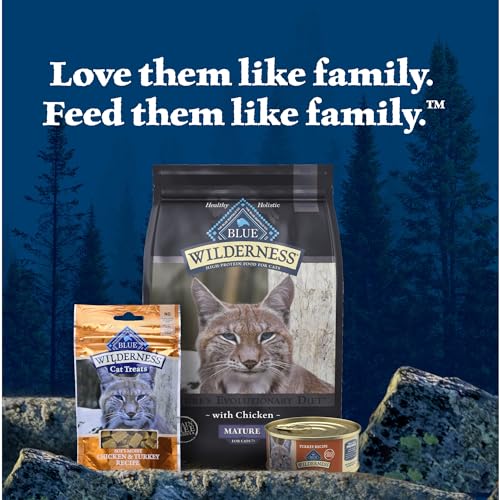 BLUE BUFFALO WILDERNESS NATURAL HIGH-PROTEIN GRAIN-FREE WET FOOD FOR ADULT CATS, TURKEY PATÉ, 5.5-OZ. CANS, 24 COUNT