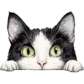 Peeping Cat Car Window Decal, Black and White, Waterproof Vinyl Sticker, 2-Pack,Suitable for Decorating car Bodies, Bumpers, Windows, Helmets, laptops, and suitcases#BLM-01