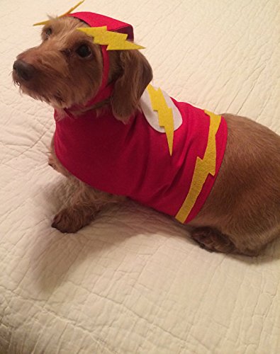 Small Dog The Flash Costume