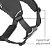 Ruffwear, Web Master, Multi-Use Support Dog Harness, Hiking and Trail Running, Service and Working, Everyday Wear, Twilight Gray, Large/X-Large