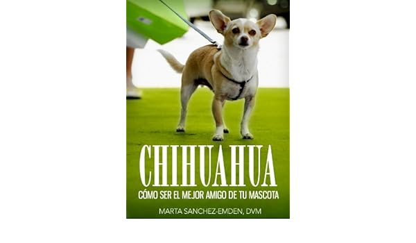 Chihuahuas Cómo Ser El Mejor Amigo De Tu Mascota Desde - 