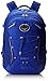 Osprey Packs Questa Daypack (Spring 2016 Model), Pomegranate Purple