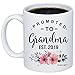 MyCozyCups Baby Reveal Gift For Mom - Promoted To Grandma 2019 Coffee Mug - New Mommy To Be Newborn Novelty Gift Idea For Mothers - New Parents Pregnancy Surprise Announcement Photo 11oz Cup For Her