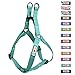 Pawtitas Pet Soft Adjustable Step-In Reflective Puppy / Dog Harness Small 5/8 Inch Teal