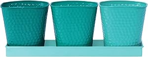 Robert Allen Home and Garden MPT01444 Robert Allen Selby Series Herb Garden Planter Pot Set, 4-Inch, Vivid Bluemoon Colors