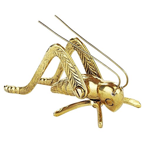Polished Hearth Cricket