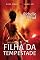 Livro Filha da Tempestade (Dark Swan Livro 1)