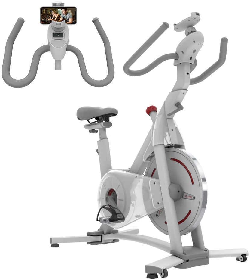 ATIVAFIT Indoor Cycling Bike Magnetic Resistance System Stationary Exercise Bike with Tablet Holder and LCD Monitor for Home Workout