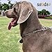 SGODA Chain Dog Training Choke Collar, 304 Stainless Steel, Total Length 16 in, 2.0 mm
