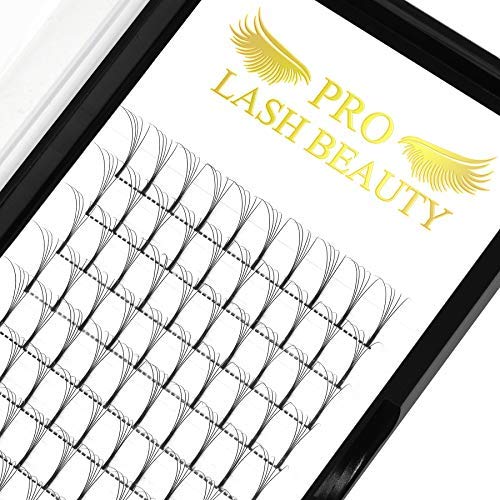 Pre Made Fan Eyelash Extensions 4D-D-0.07-13 Long Stem Pre Fanned Russian Volume Lashes 0.07 0.10 Premade Fans Eyelash Extension C D curl Lash Extension 4D-D-0.07-13 — image 1