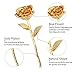 ZJchao 24K Gold Rose for Her, Dipped Gold Rose Eternity Love Real Golden Plated Preserved Eternal Flower with Rose Stand Present for Wife/Girlfriend/Couple (Gold)