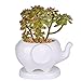 Kawaii Animals Ceramic Flower Pot 2 Styles Elephant Succulent Planter Cactus Succulent Plants Flower Cute White Pot (2 Elephants)