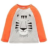 Soda Park Boys Long Sleeve Solid Cotton Cute Tiger Graphic T Shirt