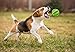 MixMart Natural Rubber Dog Toy Balls (2.6in) with Minty Scent-2 Pack (Grass Green/Mint)