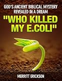 GOD'S ANCIENT BIBLICAL MYSTERY REVEALED IN A DREAM by MERRITT ERICKSON