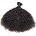 BODHI TREE Afro Kinkys Curly Hair Bundles Unprocessed Virgin Hair Kinky Curly Human Hair Afro Kinkys Bulk Human Hair for Black Women Natural Color（10 12 14）