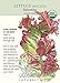Valentine Mesclun Lettuce Seeds - 1 gram - Organic