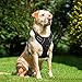 Lifepul Front Clip No Pull Dog Vest Harness - Dog Body Padded Reflective Vest with Handle - Oxford Material Vest for Dogs Comfort Control for Small Medium Large Dogs in Training &Walking
