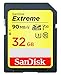 SanDisk 32GB Extreme Memory Card works with Panasonic Lumix ZS50, FZ80, DMC-LX10K, G7, DMC-TS30A,DC-ZS70S, GX85, DMC-FZ70 Digital DSLR Camera SDHC 4K V30 UHS-I with Everything But Stromboli Reader