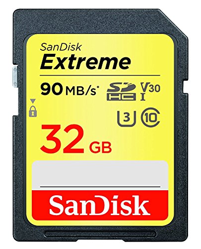 SanDisk 32GB Extreme Memory Card works with Panasonic Lumix ZS50, FZ80, DMC-LX10K, G7, DMC-TS30A,DC-ZS70S, GX85, DMC-FZ70 Digital DSLR Camera SDHC 4K V30 UHS-I with Everything But Stromboli Reader