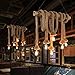Vintage Edison Bulbs Elfeland G80 40W 110V Antique Retro Incandescent Dimmable Light Bulb Squirrel Cage Filament Light Bulb for Home Light E26/E27 Base (4 Pack)