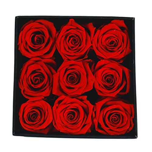 Premium Roses| The Roses can Last 1year (Roses in the Box, Best Gift for Her, Anniversaries, Birthdays & Valentines Day