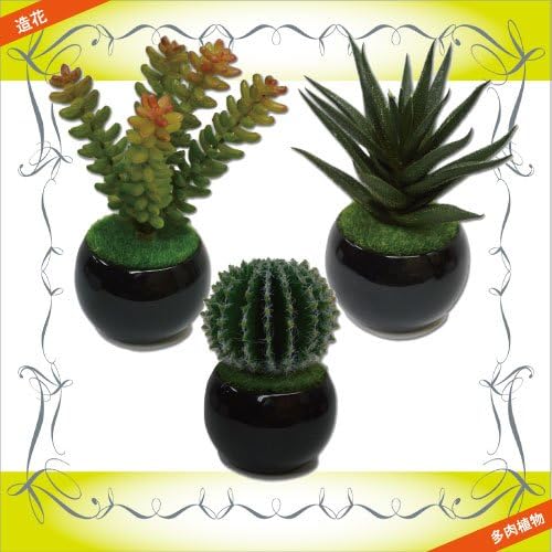 Amazon 造花 フェイクグリーン 多肉植物 ３個セット 黒c サボテン グリーンプラント インテリアグリーン 造花 オンライン通販