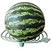 Growerology Melon, Squash and Pumpkin Cradles - Raises Produce Off of Soil (Set of 6 Supports)