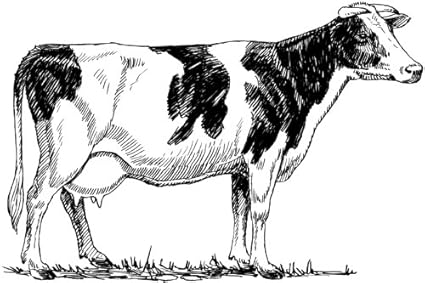 Dimensions 7 Cm X 13 Cm Acrylique Holstein Vache Porte