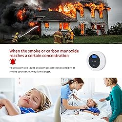PETRICOR Smoke and Carbon Monoxide Alarm Detector