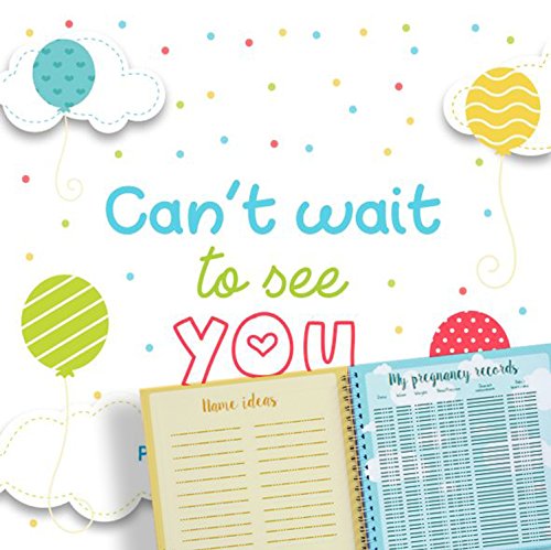 pregnancy and baby memory book