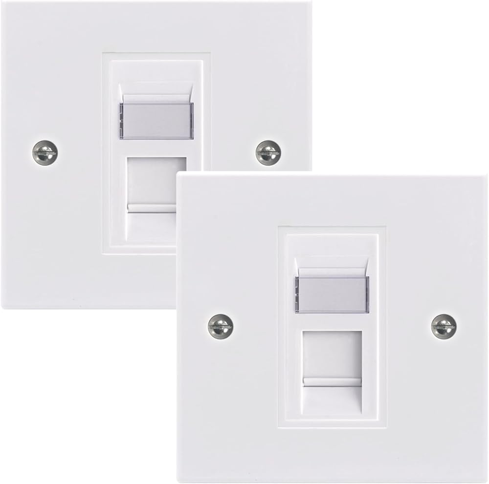 LEENUE Single RJ45 Cat6 Ethernet Wall Socket Faceplate Keystone Jack White 2
