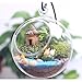 TOOGOO(R) gnome Moss Dollhouse Mini DIY Dollhouse Miniatures Cottage Terrarium Fairy Garden gnome Moss Resin Decorations for Home and Garden