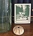 Saturn Press Handmade Letterpress Forest Bookplates, Garden Nature Made in the USA