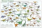 Dinosaur Evolution Educational Science Chart Poster 36 x 24in