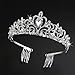 Tinksky Princess Tiara with Comb Shining Crystal Rhinestones Wedding Bridal Tiara Headband (Silver)
